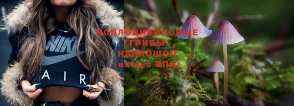a pvp Алексеевка