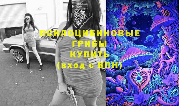 бутират Алзамай