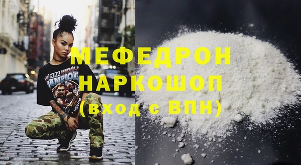 индика Няндома