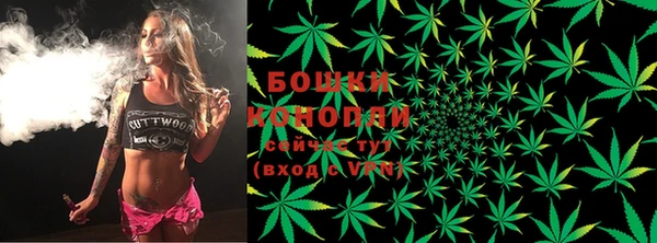 сатива Алексин